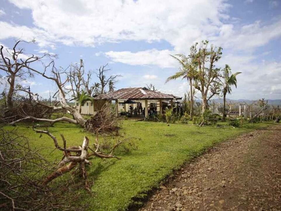 Fallen trees and a damaged building after Typhoon Haiyan in the Philippines