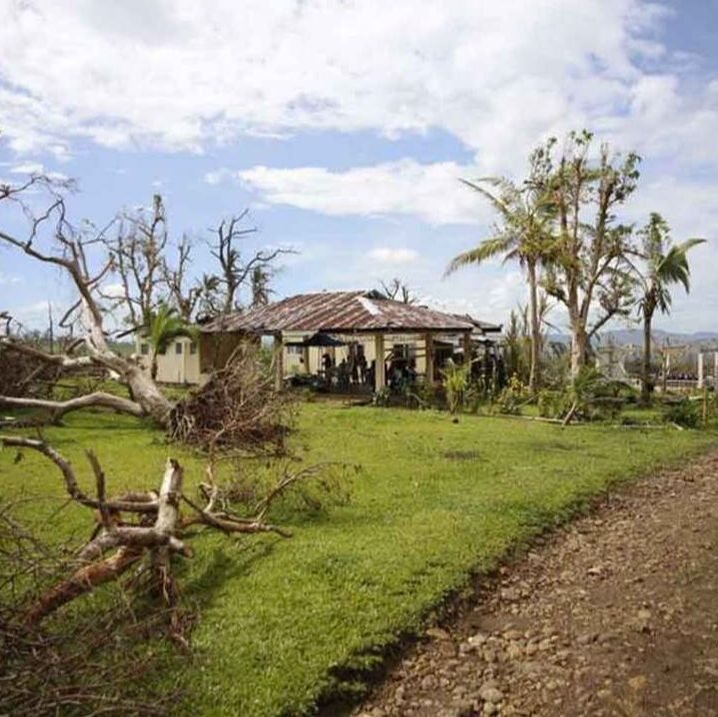 A building and fallen trees after Typhoon Haiyan in the Philippines